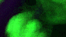 amateur girl plays with homemade vibrator on her shaved pussy, using toys for intense masturbation fun 😏