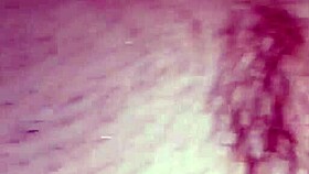 Watch these horny amateurs fuck hard in a quickie? Their wet tits and asses bouncing!