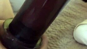 Playtime with Pump 😏