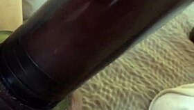 Playtime with Pump 😏