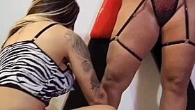 Mi amigo y yo contratamos a un tío bien dotado para lamidas intensas y buceo de coño en habitación sadomasoquista