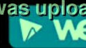 Amateur couple engages in passionate sucking session at home