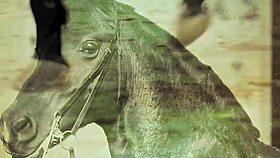 Wow, vintage babes with pets are wild! 😍