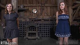 exploring sadomasochism kinks in a dark story