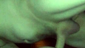 Casandra takes gonzo's cock doggystyle