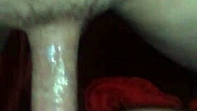 Casandra takes gonzo's cock doggystyle