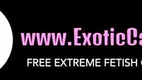 hey, that furry dragon dildo is huge for solo yiff masturbation