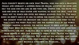 哇，禁忌毛茸茸的Yiff行动变狂野了！