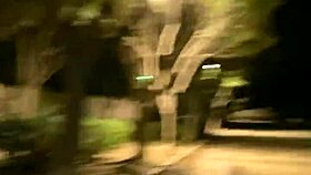 אפטרפארטי עם נדג'ה לפיידרה מוביל לאנאלי ציבורי ברחובות ספרד ואז שחייה בגניבה לזרע בתחת