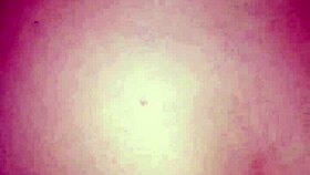 Cumshot on ass in doggystyle position with cock ring