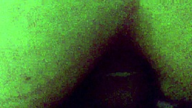 I love watching amateur blowjobs, gentle caresses, and intense anal scenes set to music.