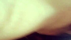 Dildos Play with Ass, Lingerie, Toys, and Cock