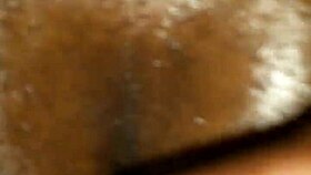 trade passionately digging into boipussy in florida