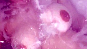 Girls from the internet sharing their daily lives online.