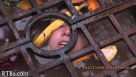 femdom sadomasochism