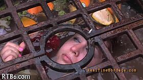 femdom sadomasochism