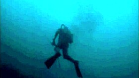 dark lantern entertainment brings the dragonfly vibe!