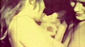 dark lantern entertainment brings the dragonfly vibe!