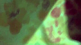 I saw this gostosa girl, and she's like, totally attractive, you know? In a nice way, haha.