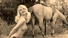 Vintage Taboo Scene with Retro Hairy Action and Classic Doggystyle Setup