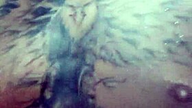 come here for me to slap my dick on your face