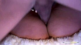 Naughty Cutie Takes Big Cock In Tight Ass