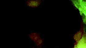 Look At That Shemale Masturbating Outdoors And Cumming!