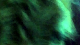 girlfriend passionately sucking my cock