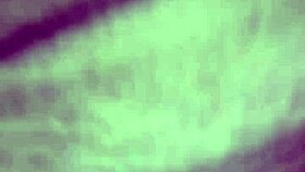 Casalsafado Explores Strapon Adventures With Amateur Partners