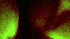 Big Ass Bends Over for Homemade Doggystyle Fucking with Hard Cock. Amateurs Explore Hardcore Action.