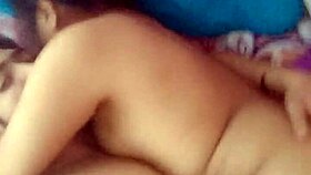 Young amateurs engage in playful mischief part two