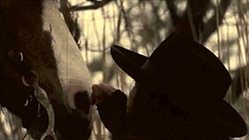 ever wondered about victorian confessions with animals?