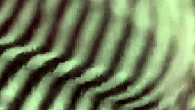 Girls Broadcasting on Periscope