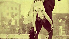 ever wondered about victorian confessions with animals?