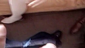 First time having sex with my wife's beautiful blowjobs handjobs fucks and cumshots