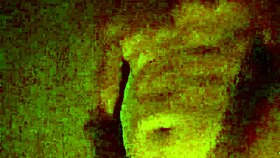 Whoa Nelly, That's An Amazing Reaction To The Surprise Event