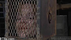 stormy caning session for the babe