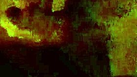 Whoa Nelly, That's An Amazing Reaction To The Surprise Event