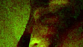 Whoa Nelly, That's An Amazing Reaction To The Surprise Event