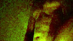 Whoa Nelly, That's An Amazing Reaction To The Surprise Event