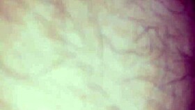 i fuck my lover's ass hard in gay anal