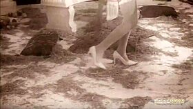 Good Looking Girls Share Hard Cocks in Group Riding!