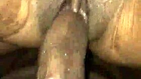 Babe intensely fucks her honey sweet pussy with a throbbing cock.