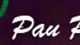 pau pimenta fucks my ass