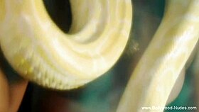 Mature Milf Gives Blowjob and Handjob to Amateur Seduction