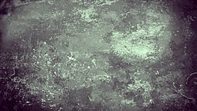 My Secret Life: Vintage Bondage with Hairy Pussy and Bound Beaver