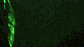 She Says, 'Suck All the Cum Off My Face'