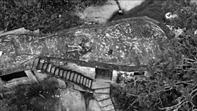 Fucking tattooed redhead latina, anal assfucking, oral, orgasm, sexy pornstar, you watching?