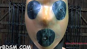 Gagged honey gets lusty