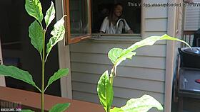 i got nikki fucked doggystyle, her tits bouncing all over